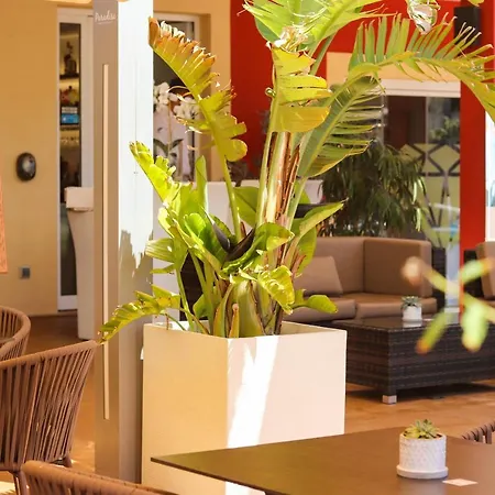 Paradise Residencial